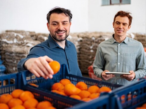 Workers inspecting oranges in a produce distribution facility.